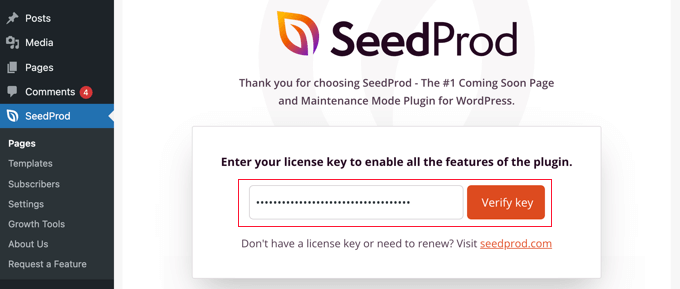 SeedProd-facebook-ads-verify-key