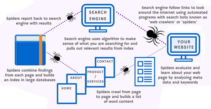 search-engines-work-infographic